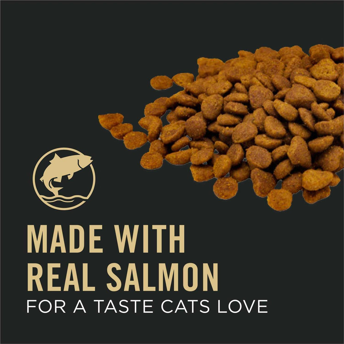 Salmon and Rice Senior Dry Cat Food J8948