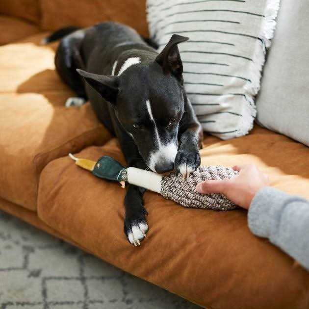 Rope Duck Crinkle Dog Toy L1366