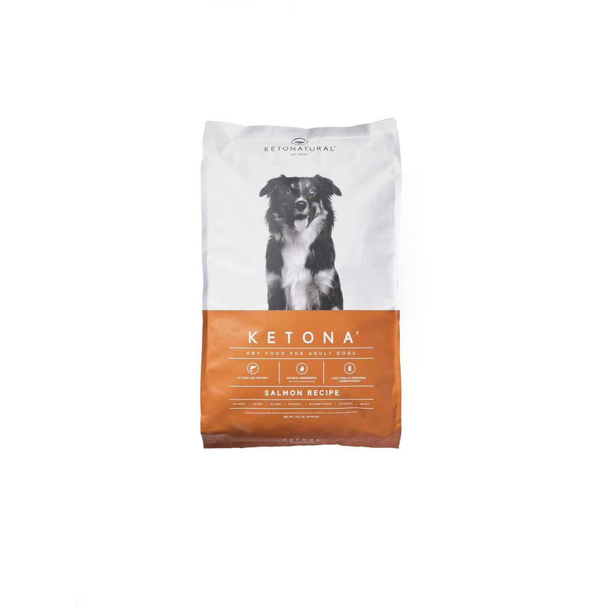 Salmon Recipe Adult Dry Dog Food H106