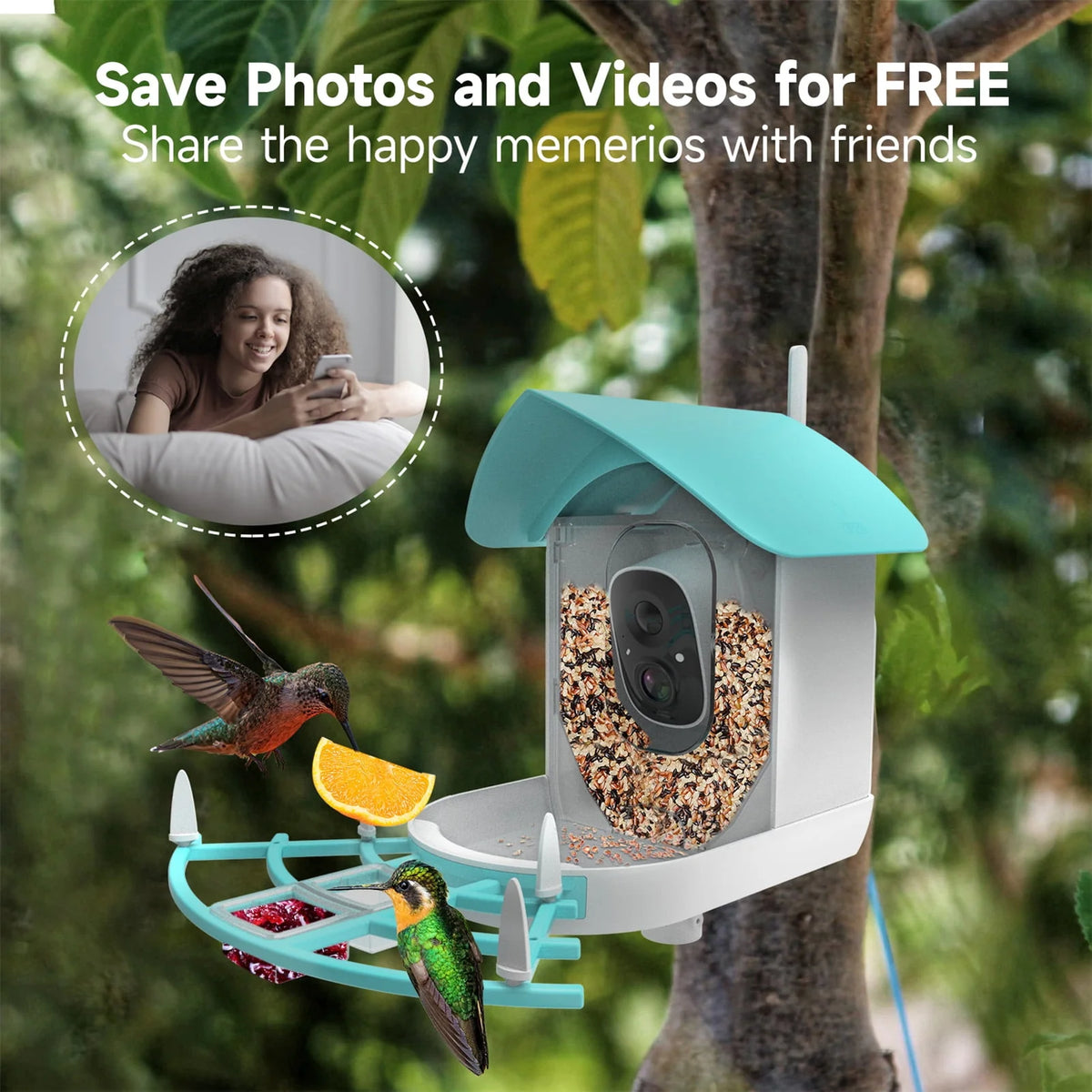 Solar-Powered WiFi 1080P Camera Bird Feeder Z43598