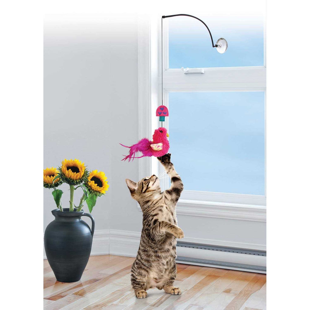 Cat Teaser J440884