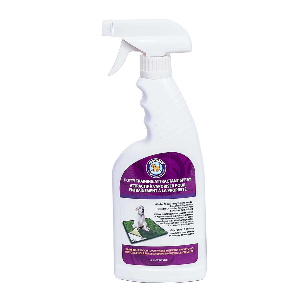 Potty Training Attractant Spray S243802