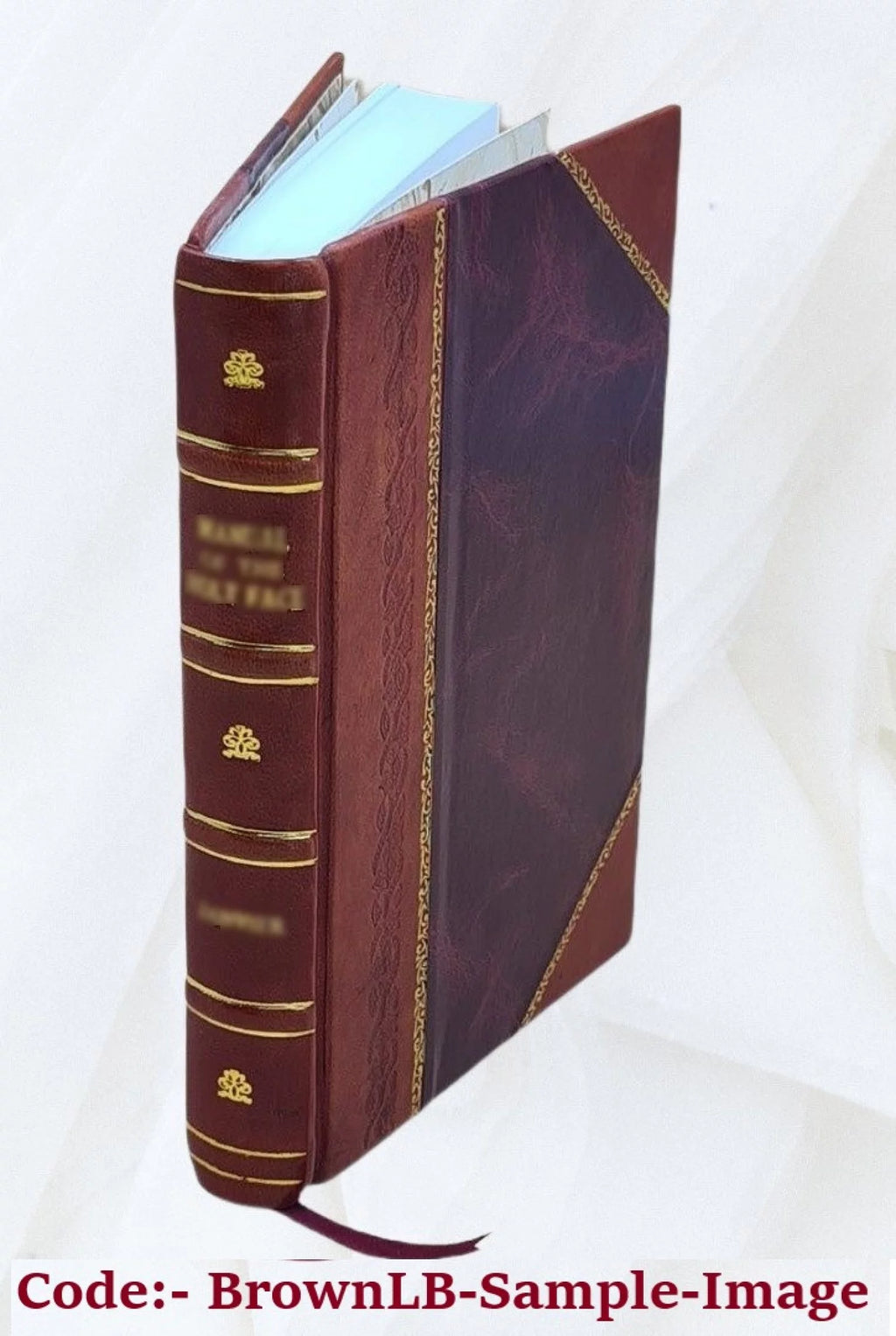 Calendar of State Papers Domestic Series Charles II 1679-1680 Leather Bound B4885