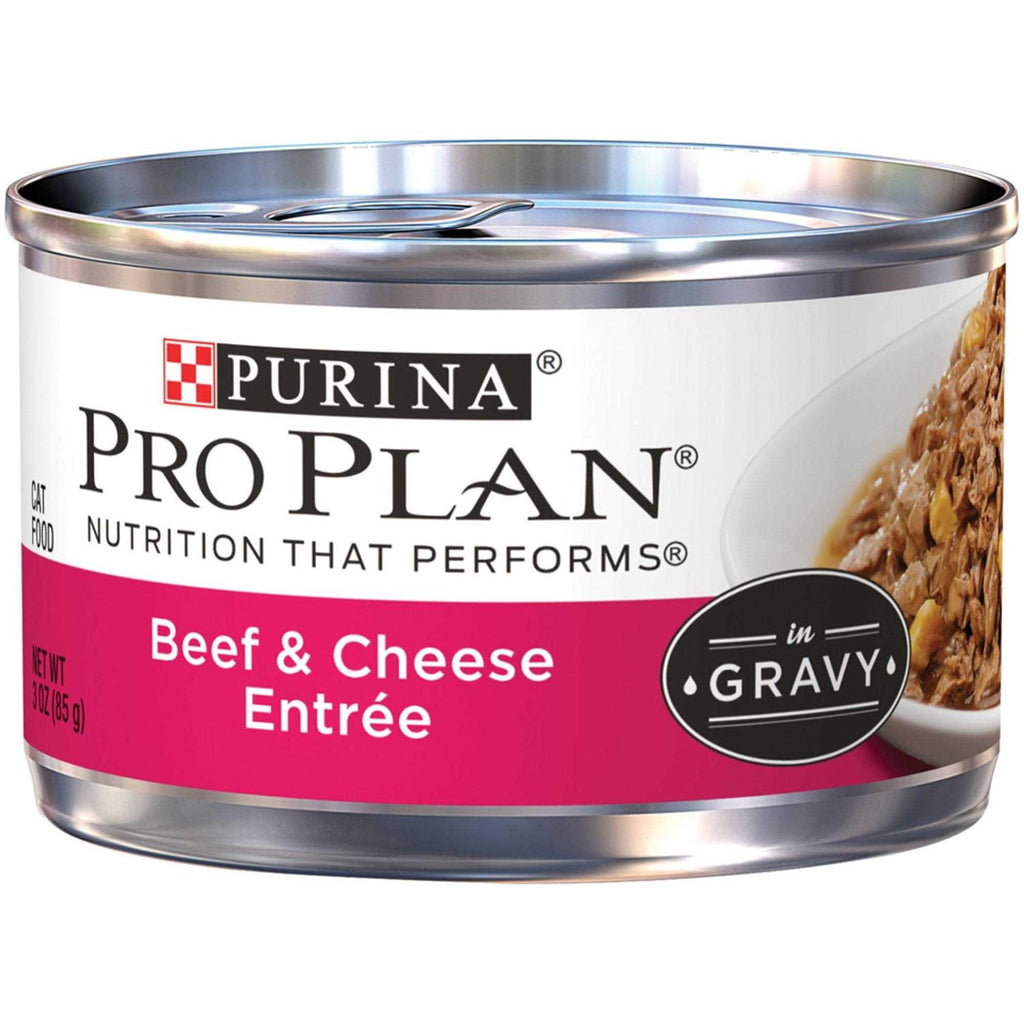 Cheese Entree in Gravy Cat Food Y2778
