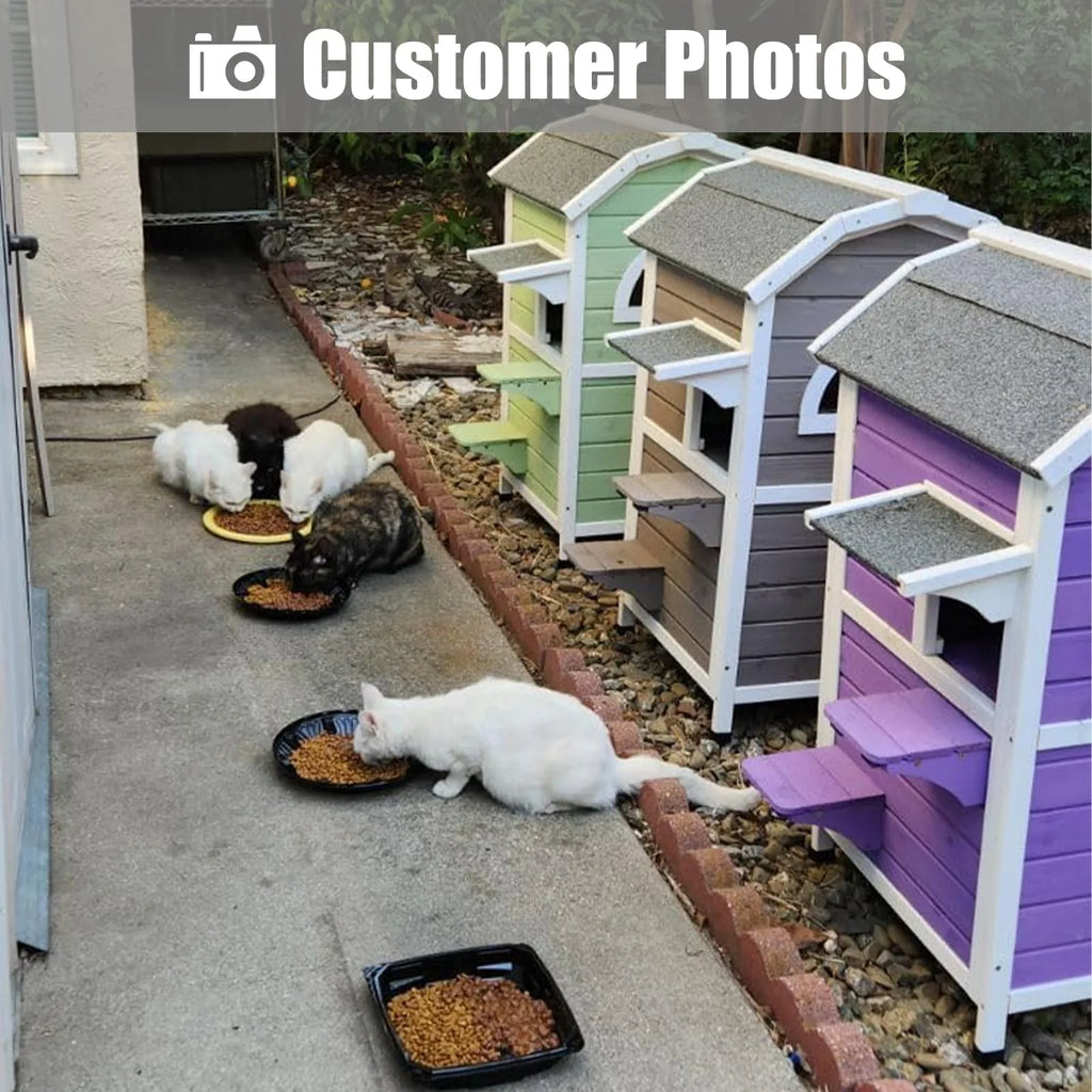 Weatherproof Two Story Wooden Outdoor Cat House Y3963