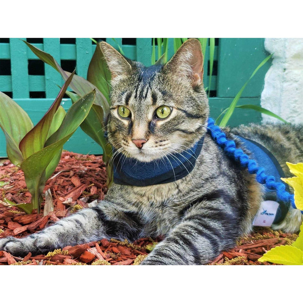 Cat Harness D107059