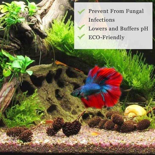 Alder Cones Aquarium Water Conditioner & Food C378693