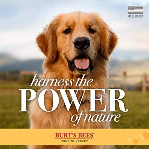 Dog Shampoo H811787
