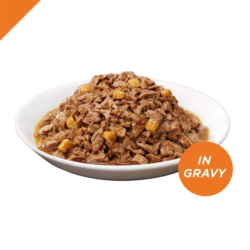 Cheese Entree in Gravy Cat Food Y2778