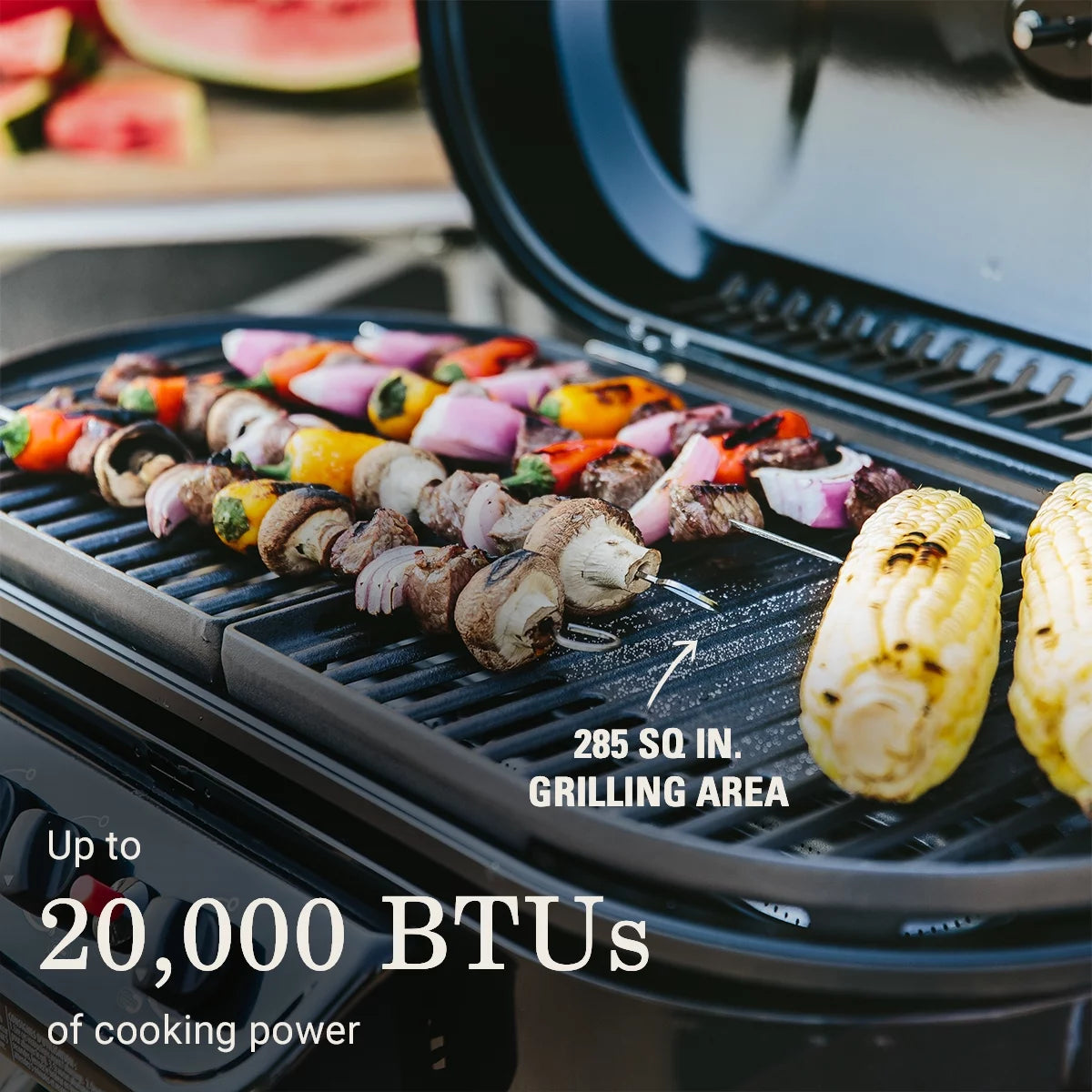 Standup Propane Gas Grill R850588