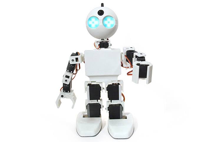 Humanoid Robot I82081