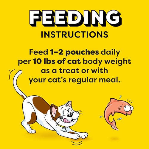 Squeezable Wet Cat Treats with Salmon, 0.42 oz, 44 Count B1526