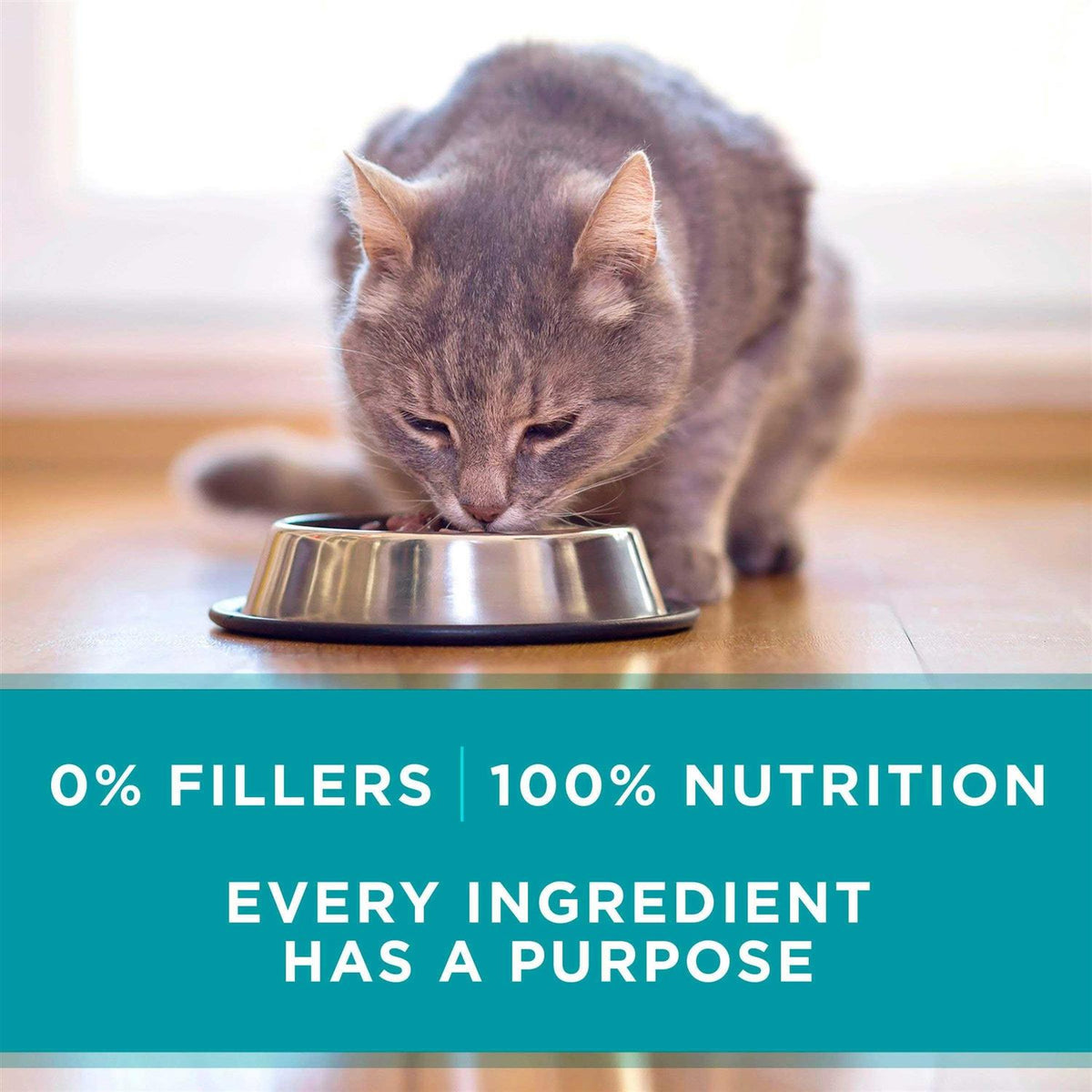 High Protein Wet Cat Food Variety Pack O29838