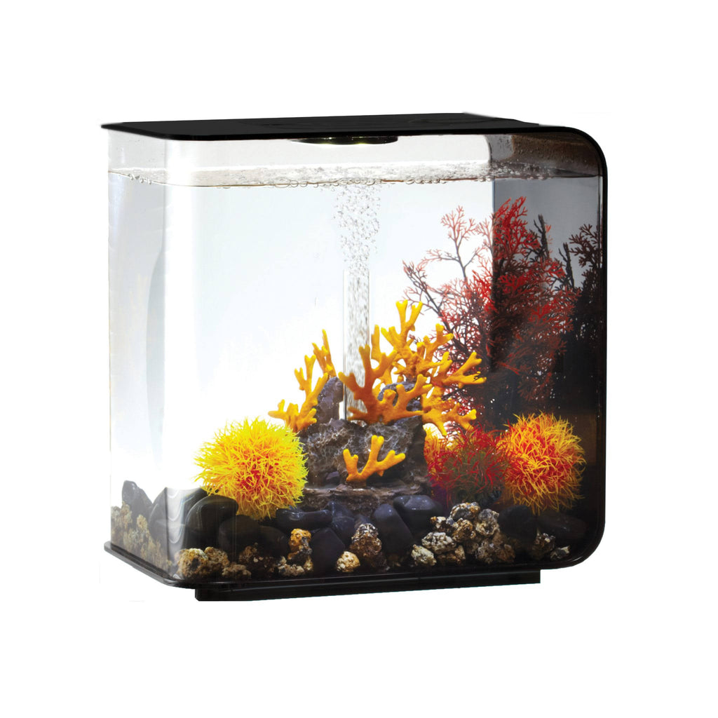 Black 8 Gal Aquarium with LED Light M955480