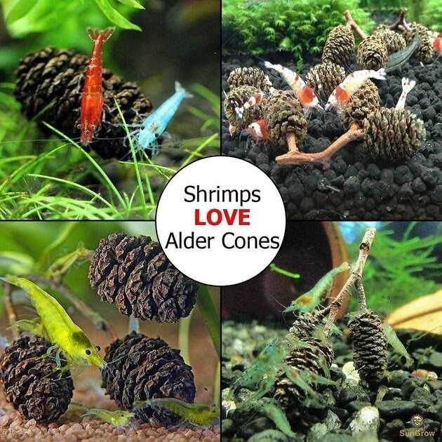 Alder Cones Aquarium Water Conditioner & Food C378693