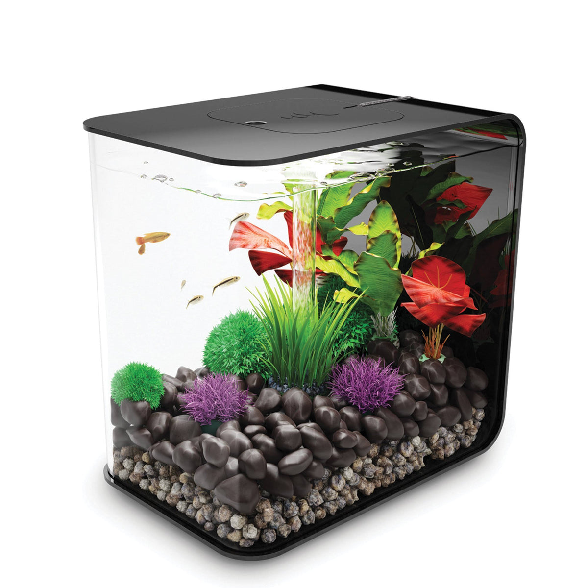 Black 8 Gal Aquarium with LED Light M955480