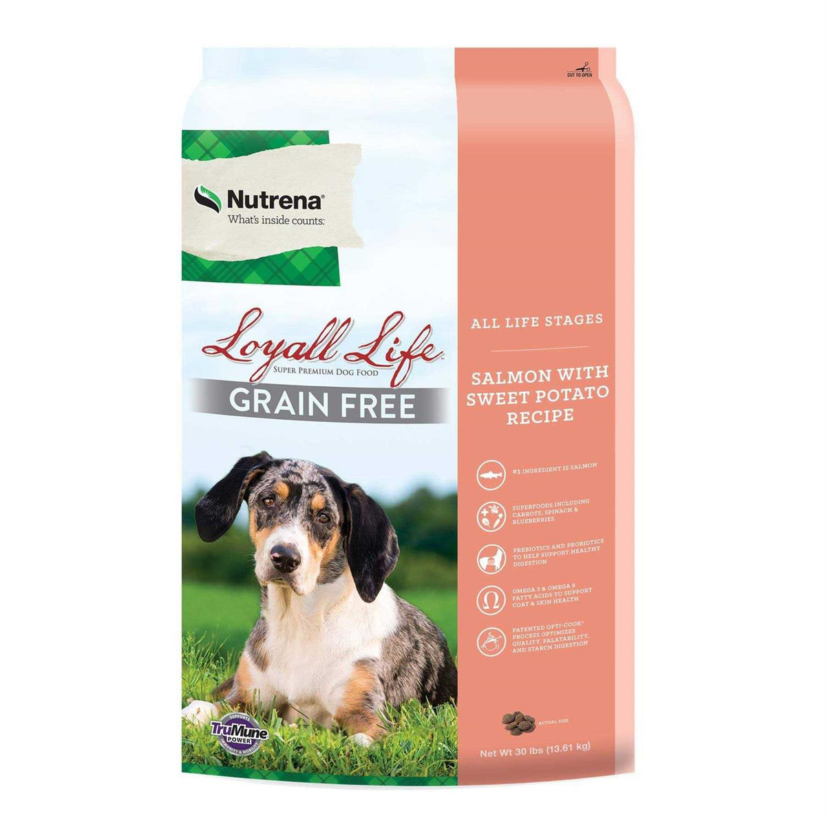 Grain Free Salmon Sweet Potato Dog Food 30 Pounds D56919