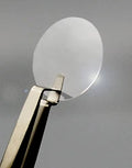 Rat Tail Collagen Glass Coverslips 22mm F19137