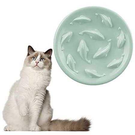 Slow Feeder Bowl for Cats and Small Dogs Y5932
