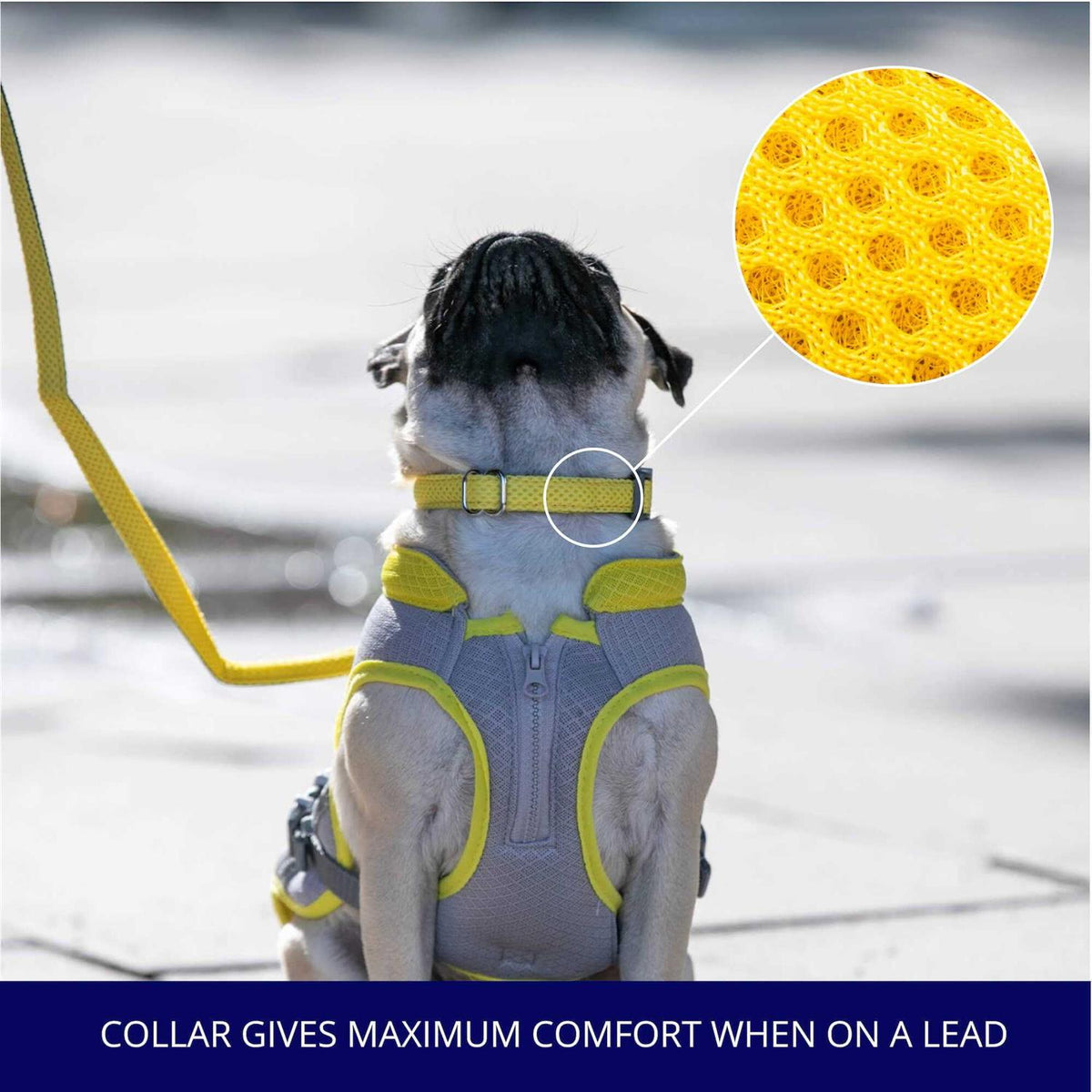 Mesh Dog Collar Z7408