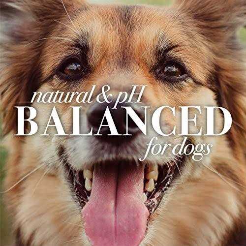 Dog Shampoo H811787