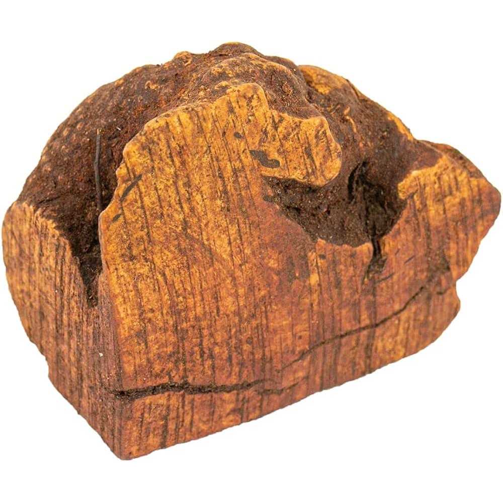 Chew Root for Dogs N830071
