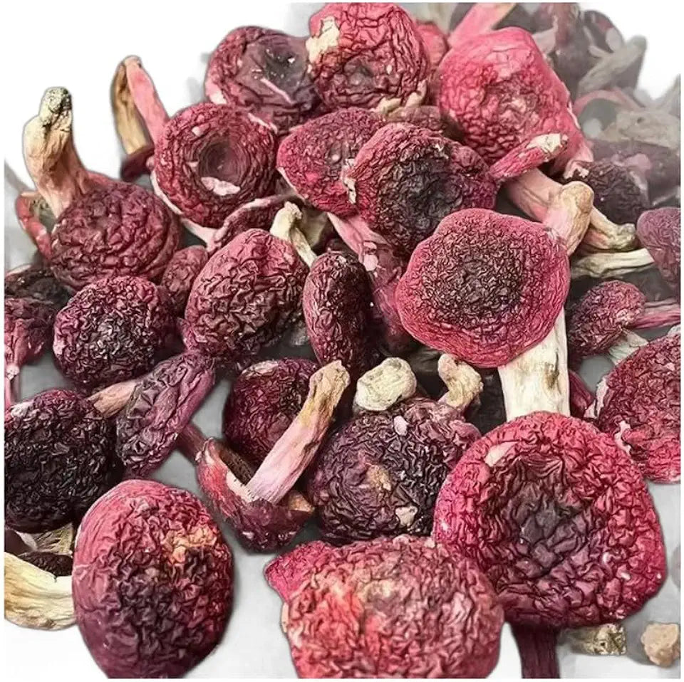 Dried Russula Red Mushroom (100g) H19411