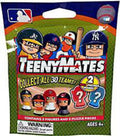 Mystery Pack H2457
