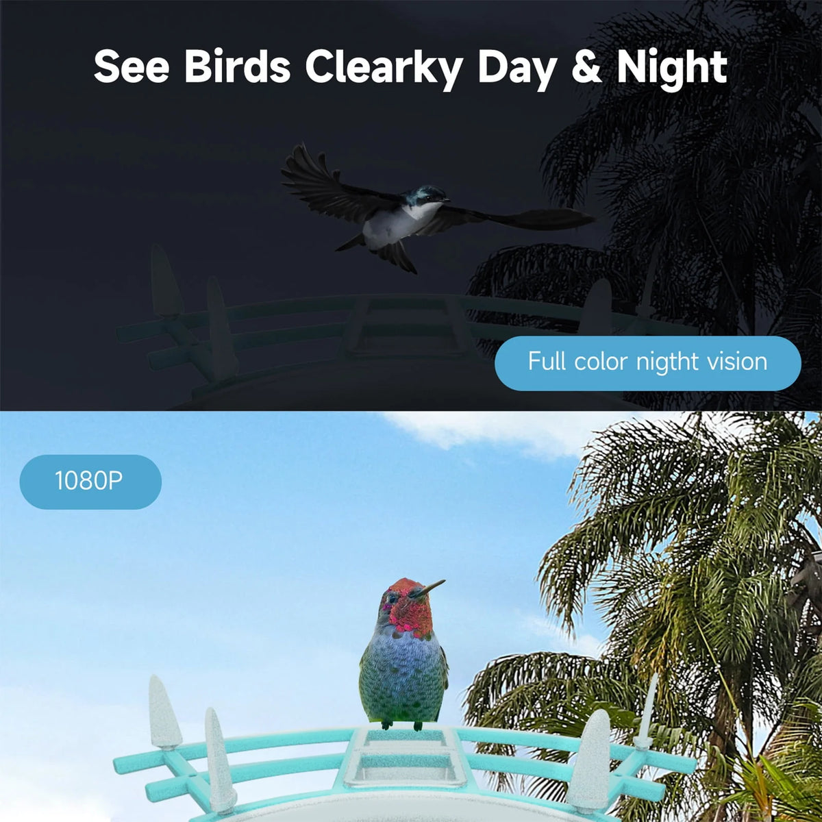 Solar-Powered WiFi 1080P Camera Bird Feeder Z43598
