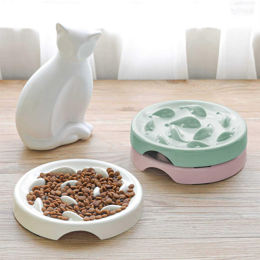 Slow Feeder Bowl for Cats and Small Dogs Y5932