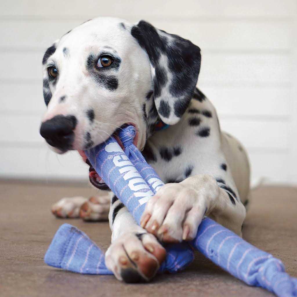 Rope Dog Toy D138