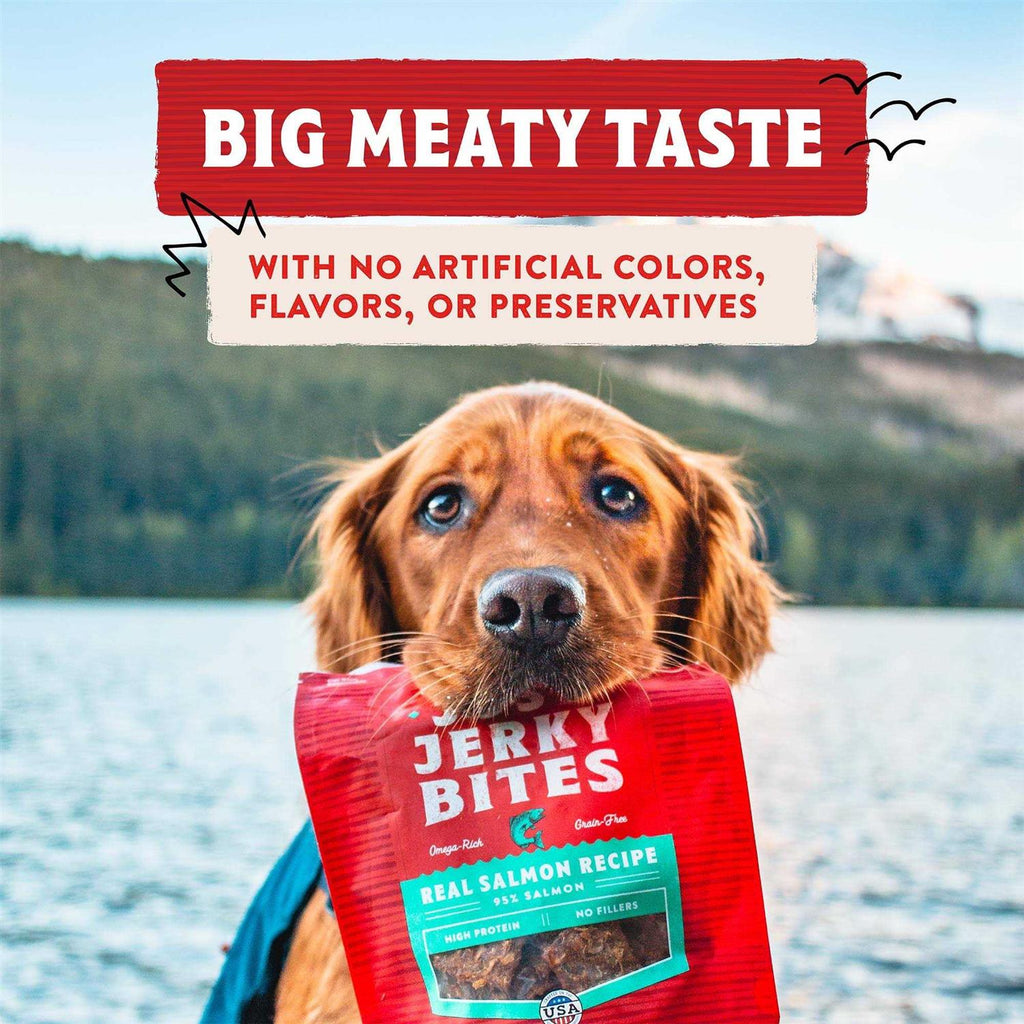Dog Treats H924290