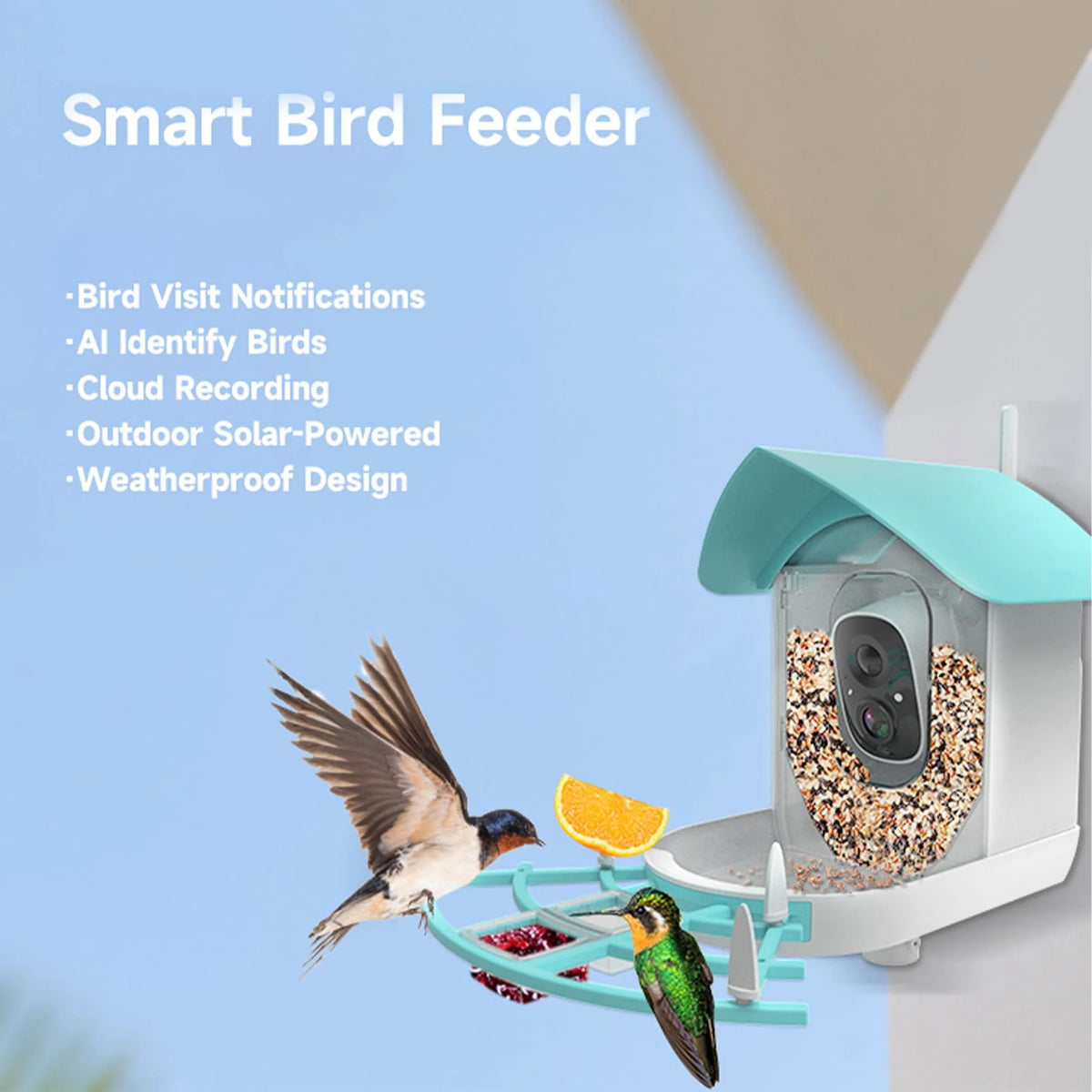 Solar-Powered WiFi 1080P Camera Bird Feeder Z43598
