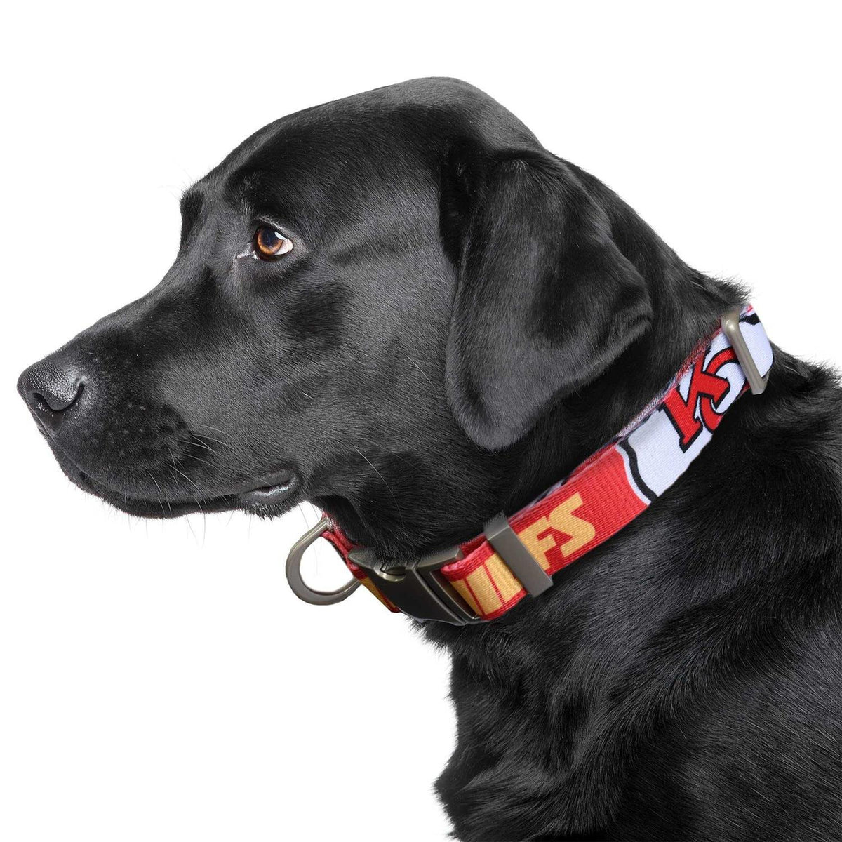 Pet Collar L77487