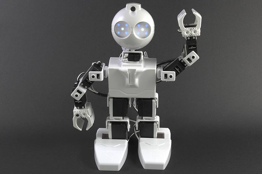 Humanoid Robot I82081