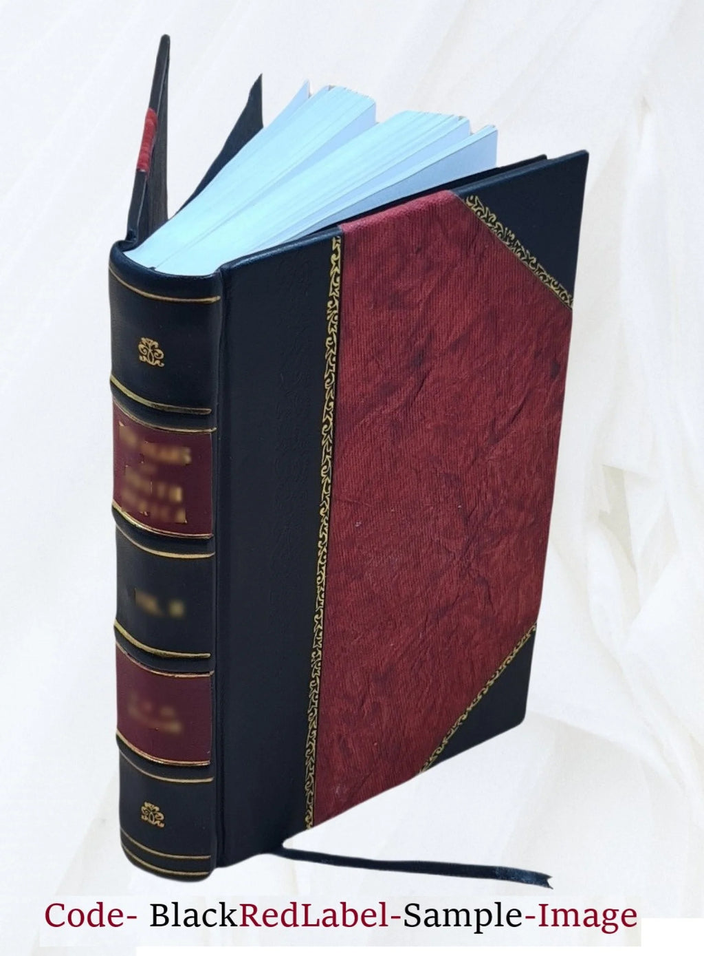 Calendar of State Papers Domestic Series Charles II 1679-1680 Leather Bound B4885